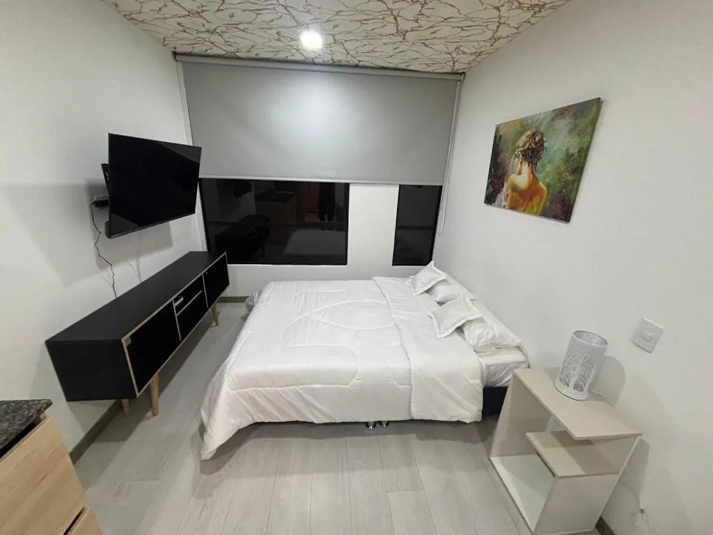 波哥大Modern And Cozy Loft公寓 哥伦比亚